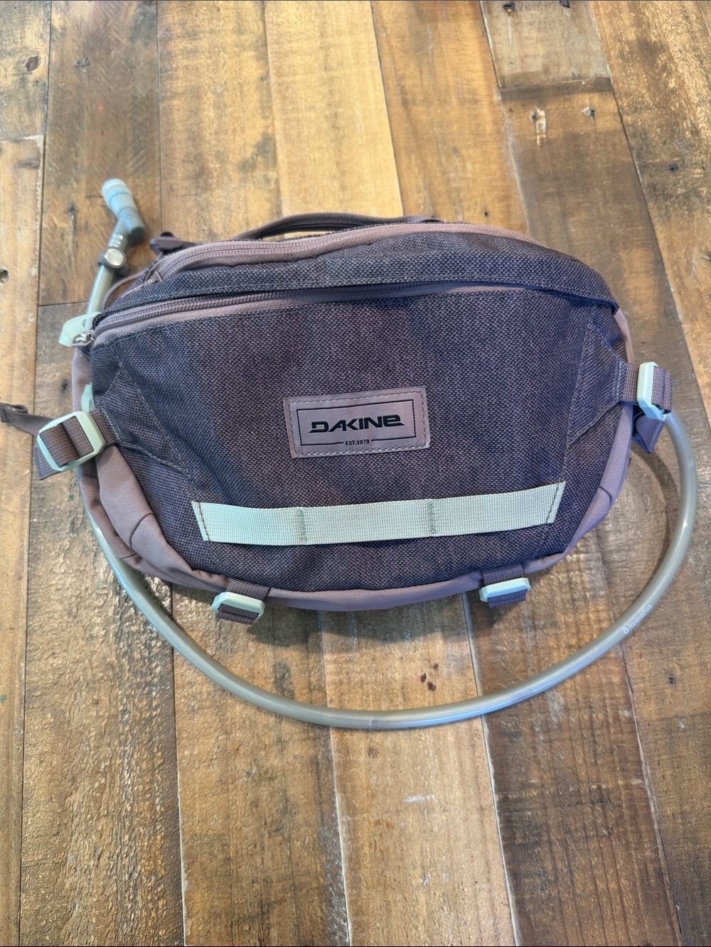 Dakine Taupe/Brown Women's Hip Pack with Hydration Tube